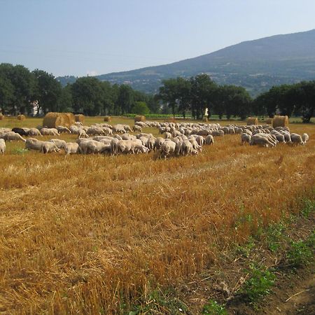 Il Tugurio Agriturismo B&B ริโวตอร์โต ภายนอก รูปภาพ